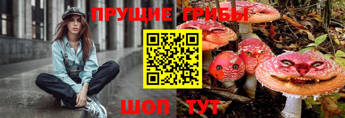 Галлюциногенные грибы GOLDEN TEACHER  Псилоцибиновые грибы мухоморы  Вход с VPN  Нарткала 